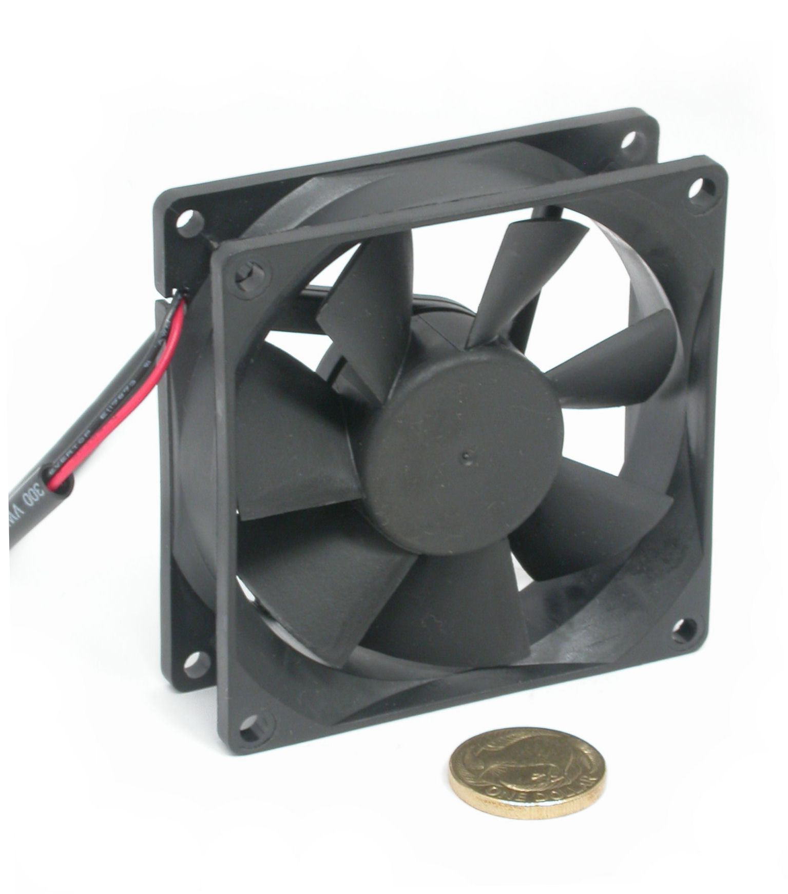 80x25-12Vdc-0A11-2L-RDM8025S-DSCN5800.JPG  (194.2 Kb)